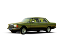 Ремонт и обслуживание Mercedes-Benz W123 в Железнодорожном (Балашиха)